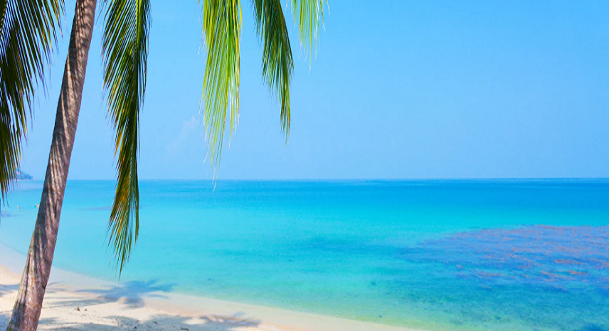 7. Baratang Island – The Land of Caves and Mangroves